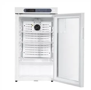 Vertical Small Drug Refrigerator 2~8℃ 100L